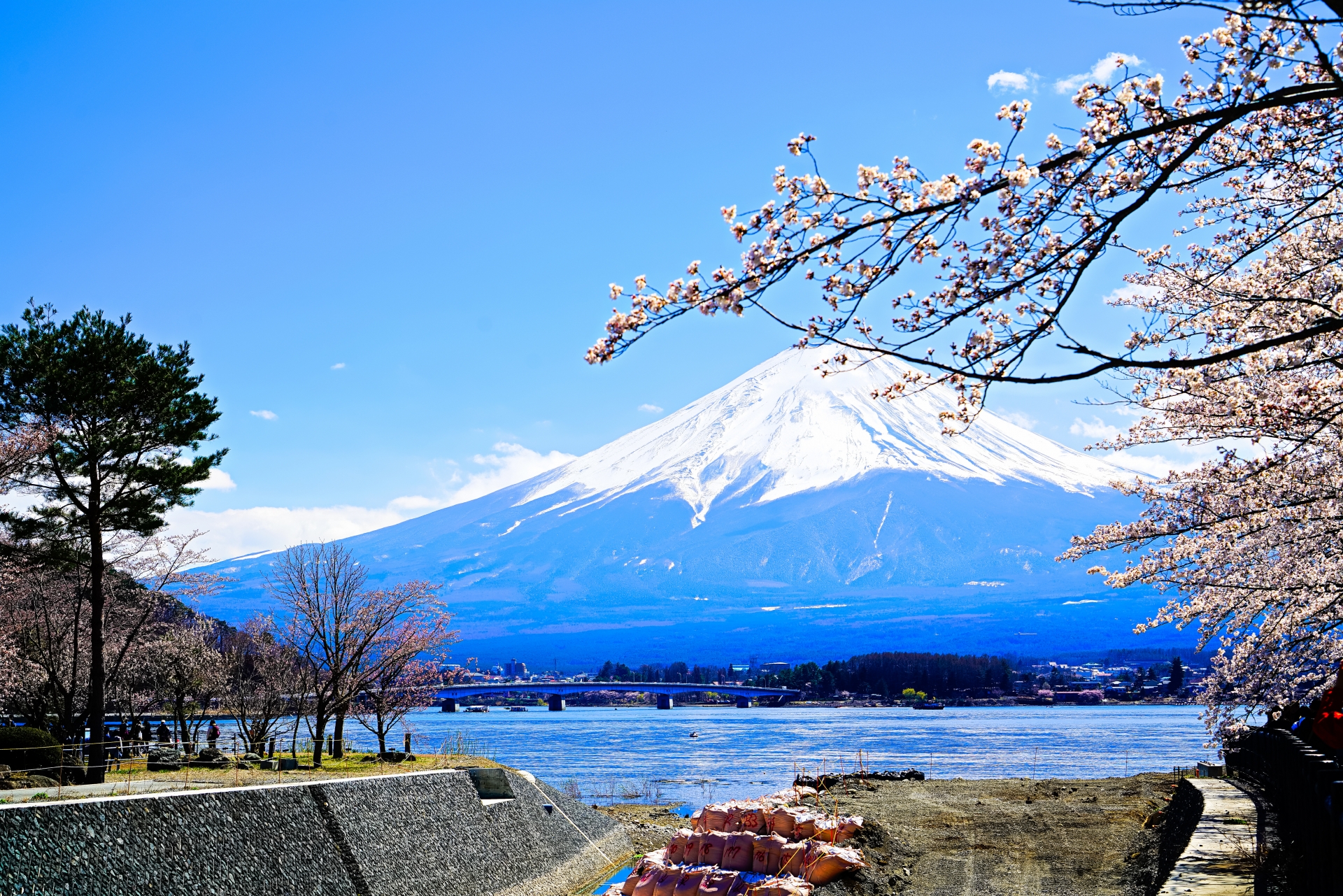 河口湖から望む富士山